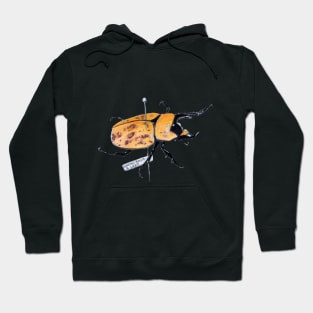 Pinned Hercules Beetle Hoodie